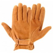 Horse Riding Gloves (7)
